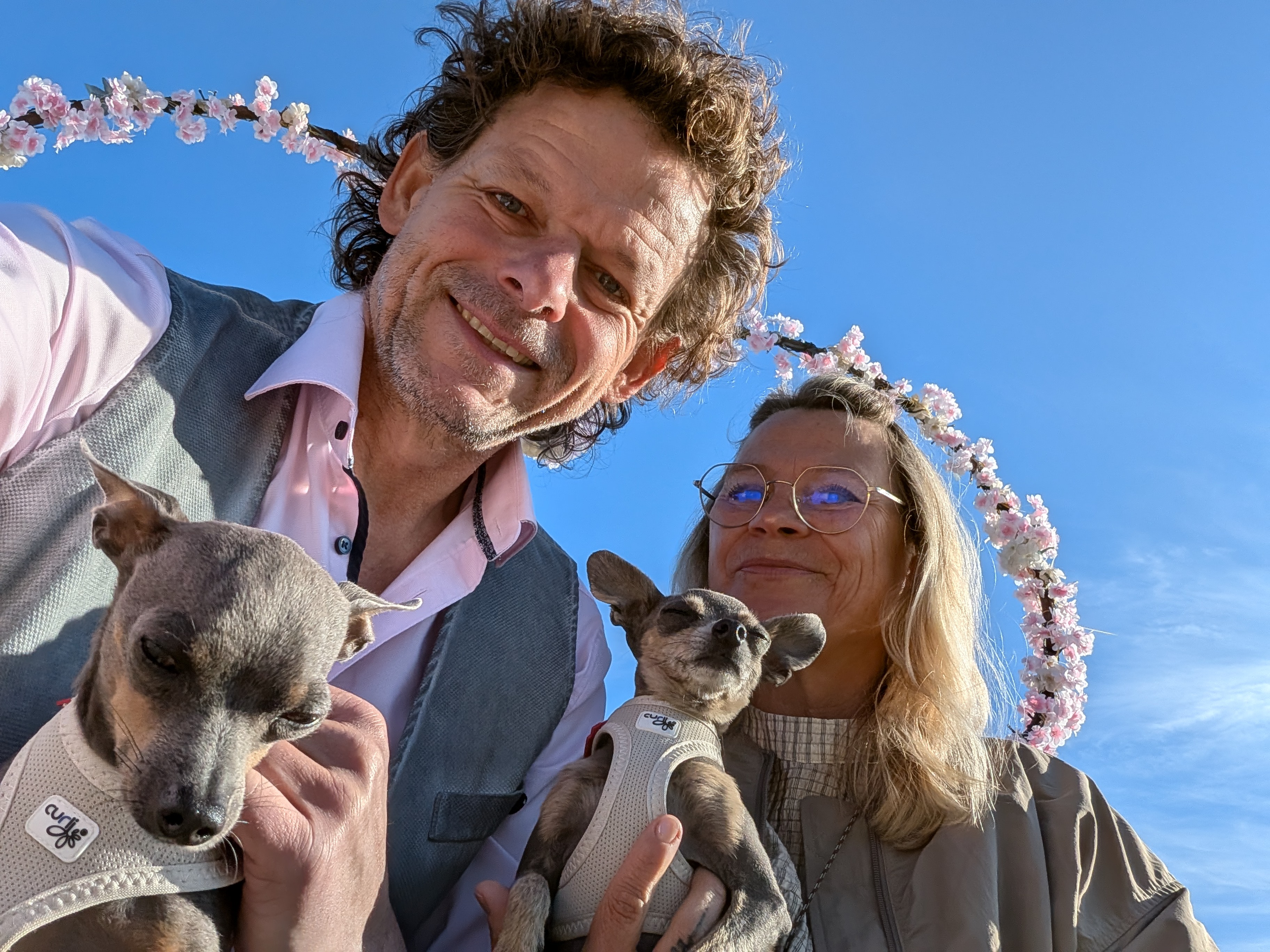 Sven, Miluska, Happy und Dumbo